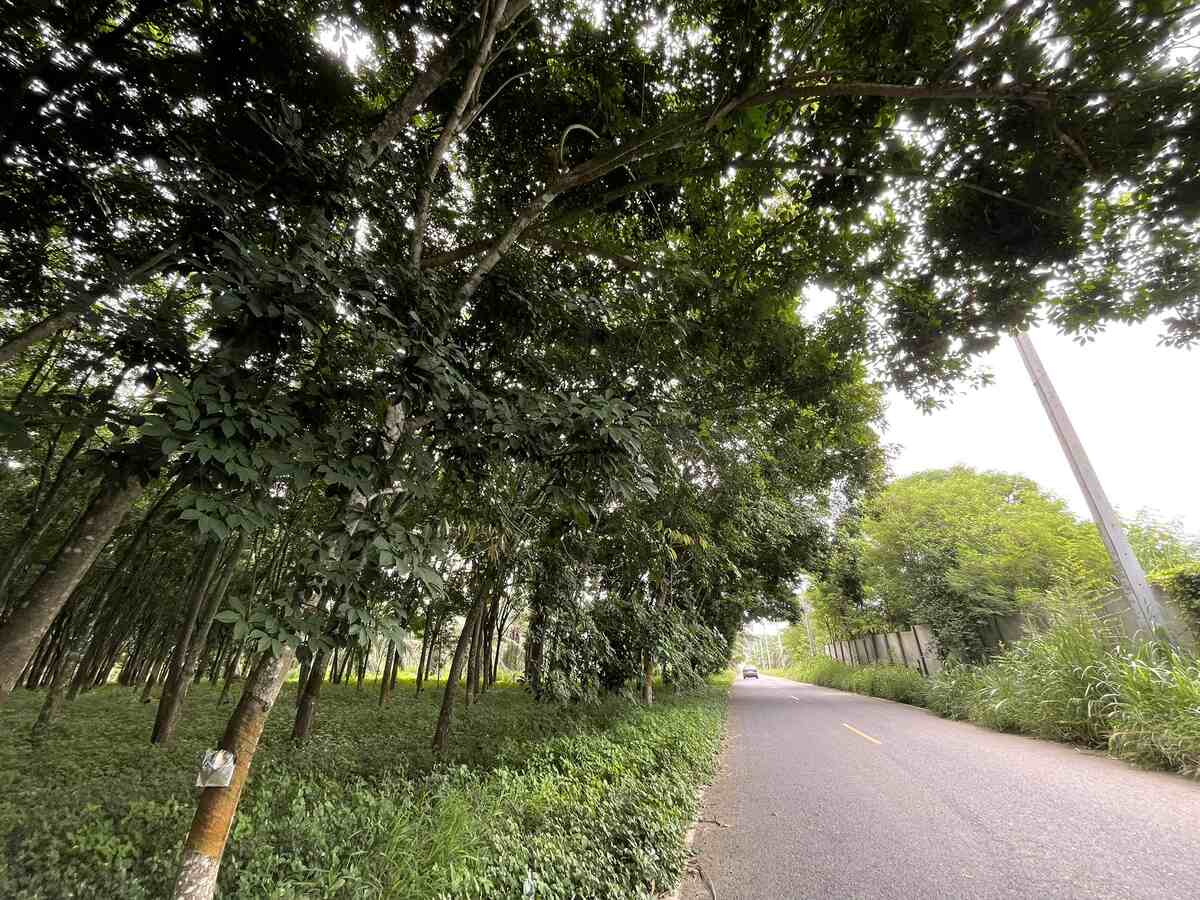 อ.บ้านบึง จ.ชลบุรี