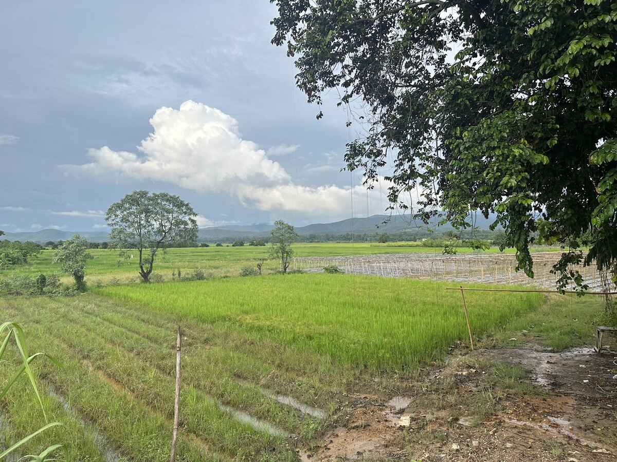 สันทราย จ.เชียงใหม่