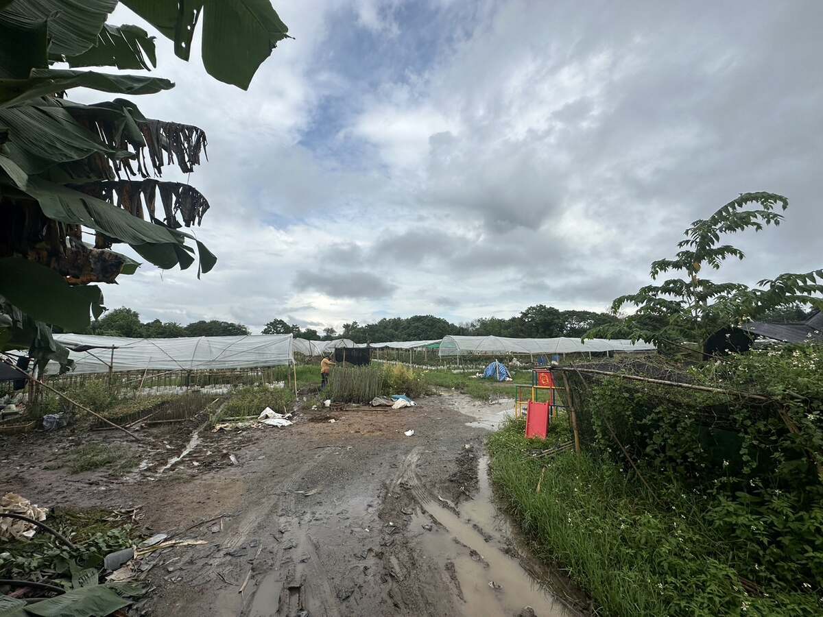 แม่ริม จ.เชียงใหม่ ติดริมแม่น้ำปิง