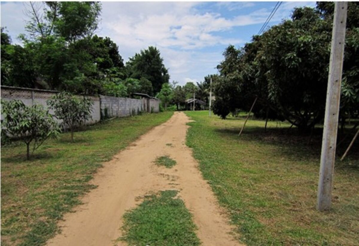 อ.เมือง จ.เชียงใหม่