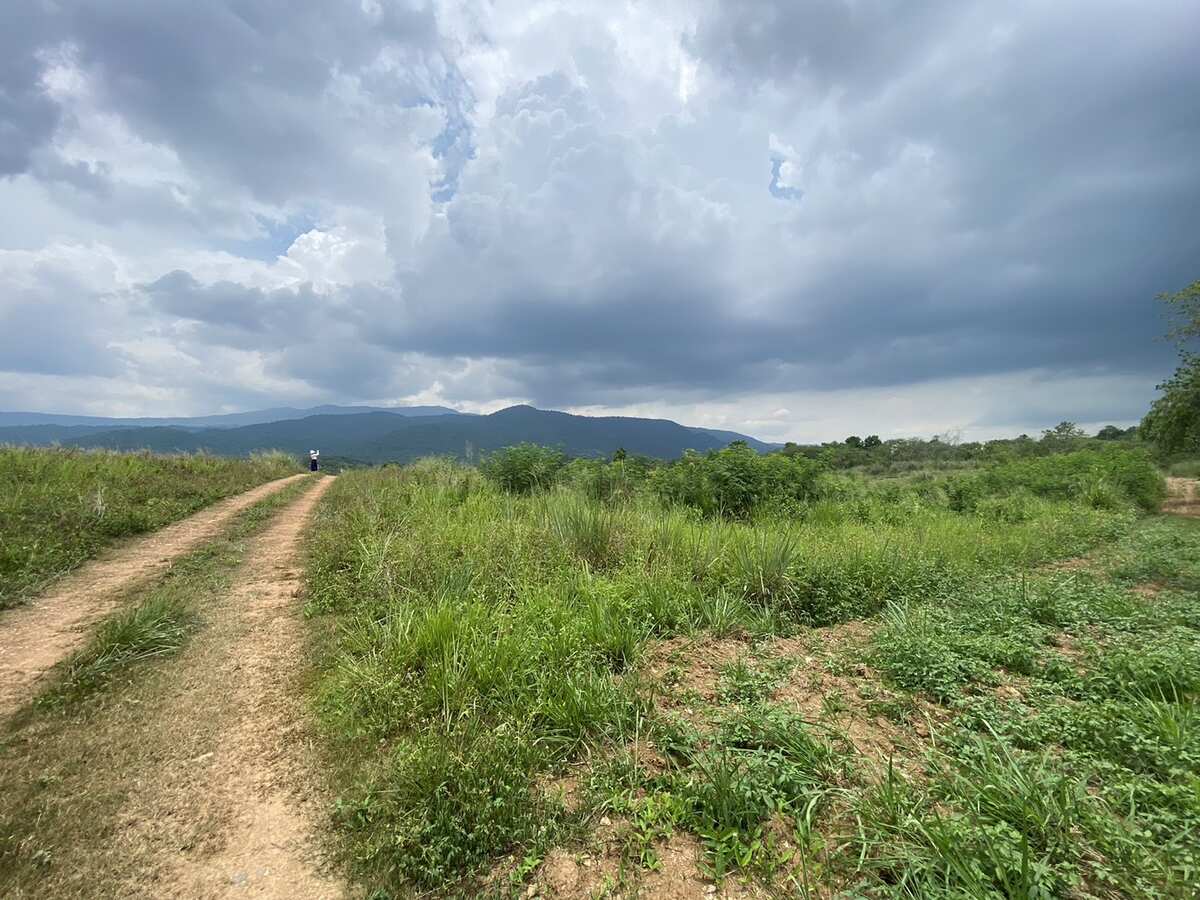 ขายที่ดินปากช่อง เขาใหญ่ 9 ไร่ วิวเขาใหญ่สุดปัง