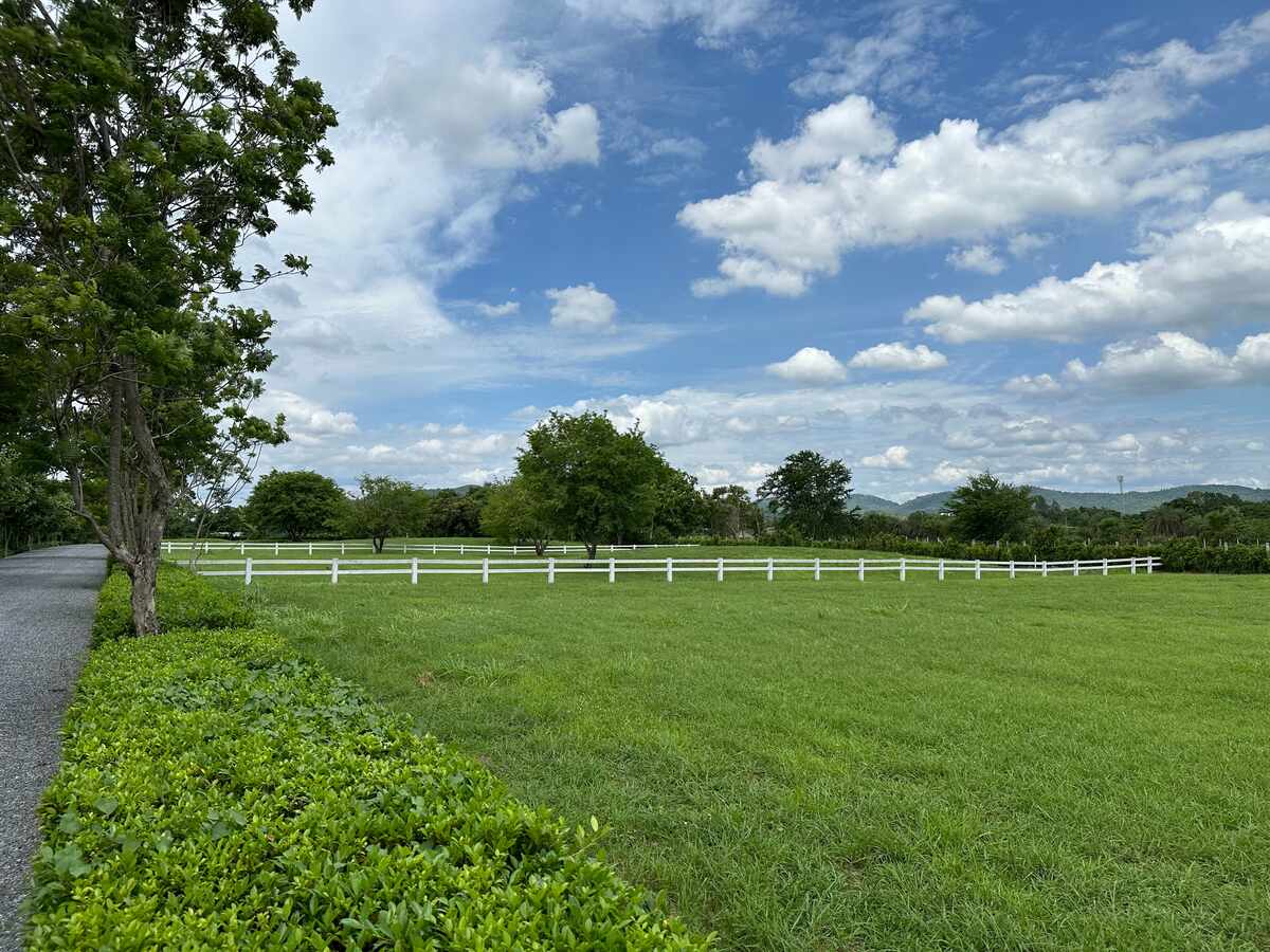 ขายที่ดินหนองสาหร่าย ปากช่อง 6 ไร่