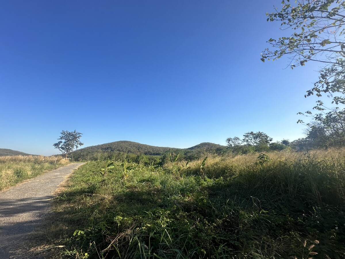 ขายที่ดินปากช่อง โคราช 4-2-47 ไร่