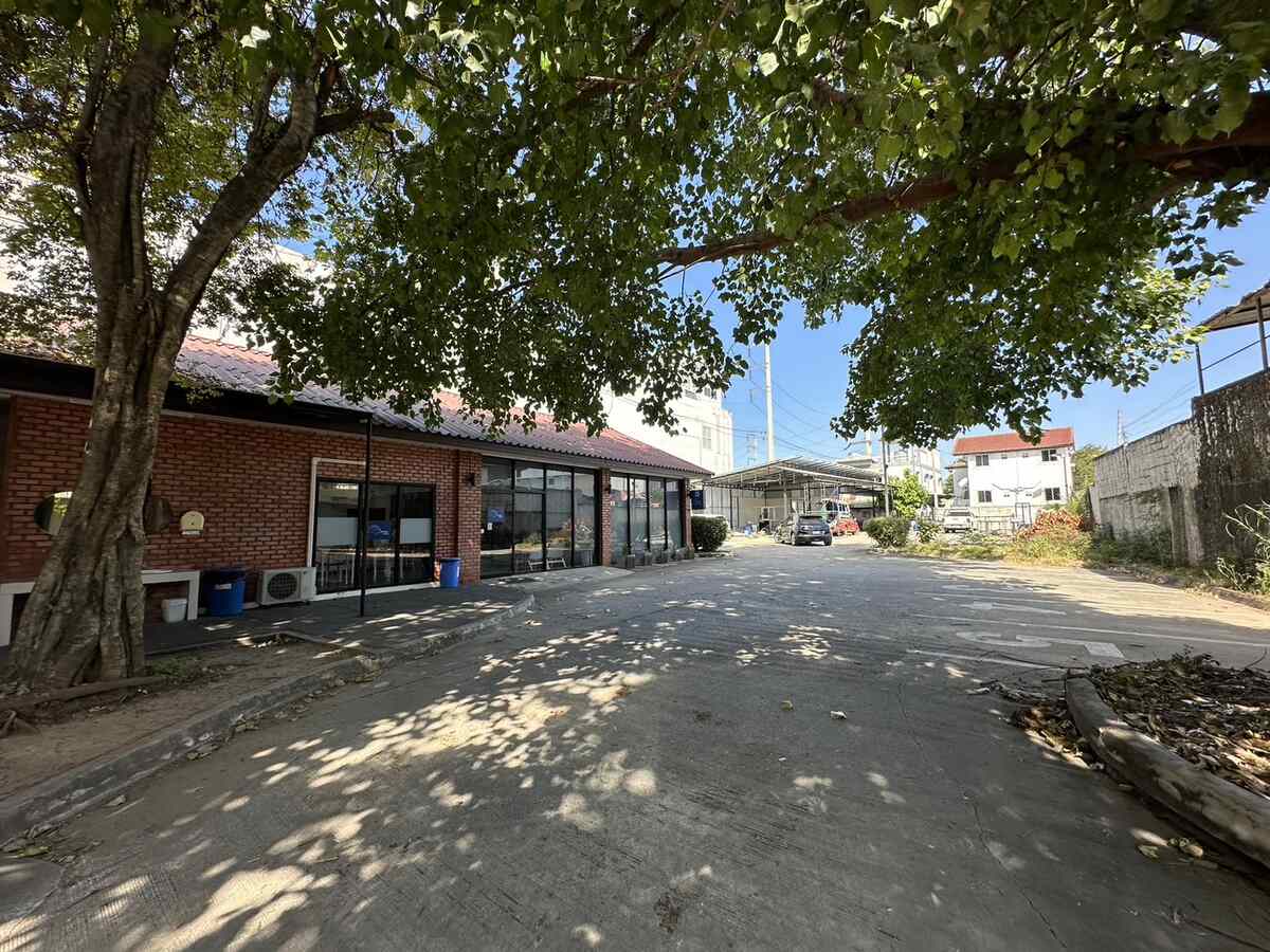 ขายที่ดินติดถนนมิตรภาพ 1 ไร่ ใจกลางเมืองโคราช