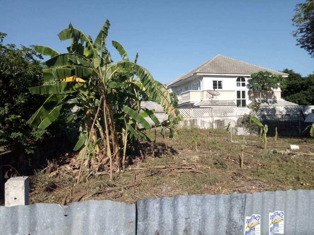 ขายที่ดินซอยสุขุมวิท 101 (ปุณณวิถี 37)