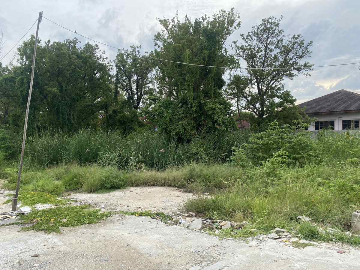 ถนนราชพฤกษ์