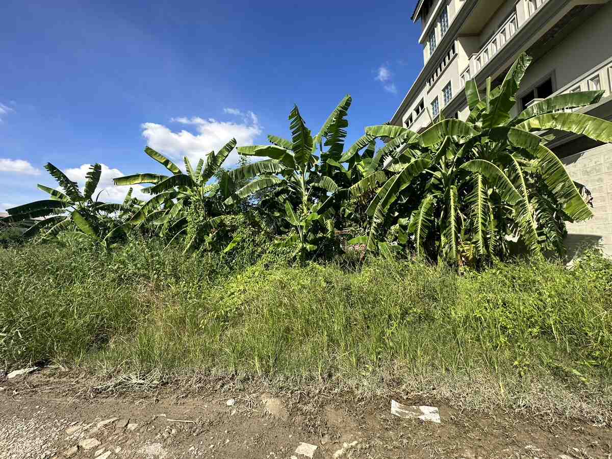 ขายที่ดินซอยสุขุมวิท 107 (แบริ่ง 35/1)