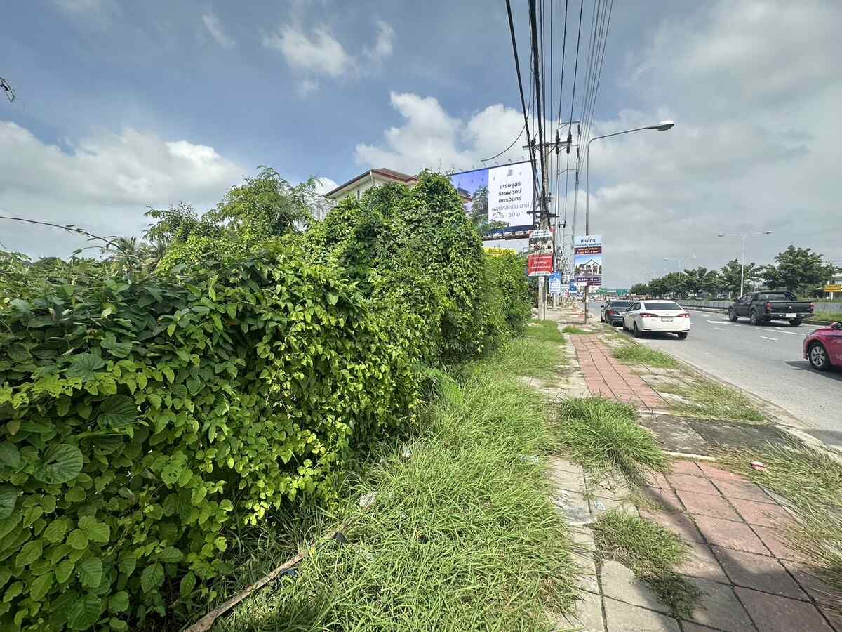 ถนนราชพฤกษ์