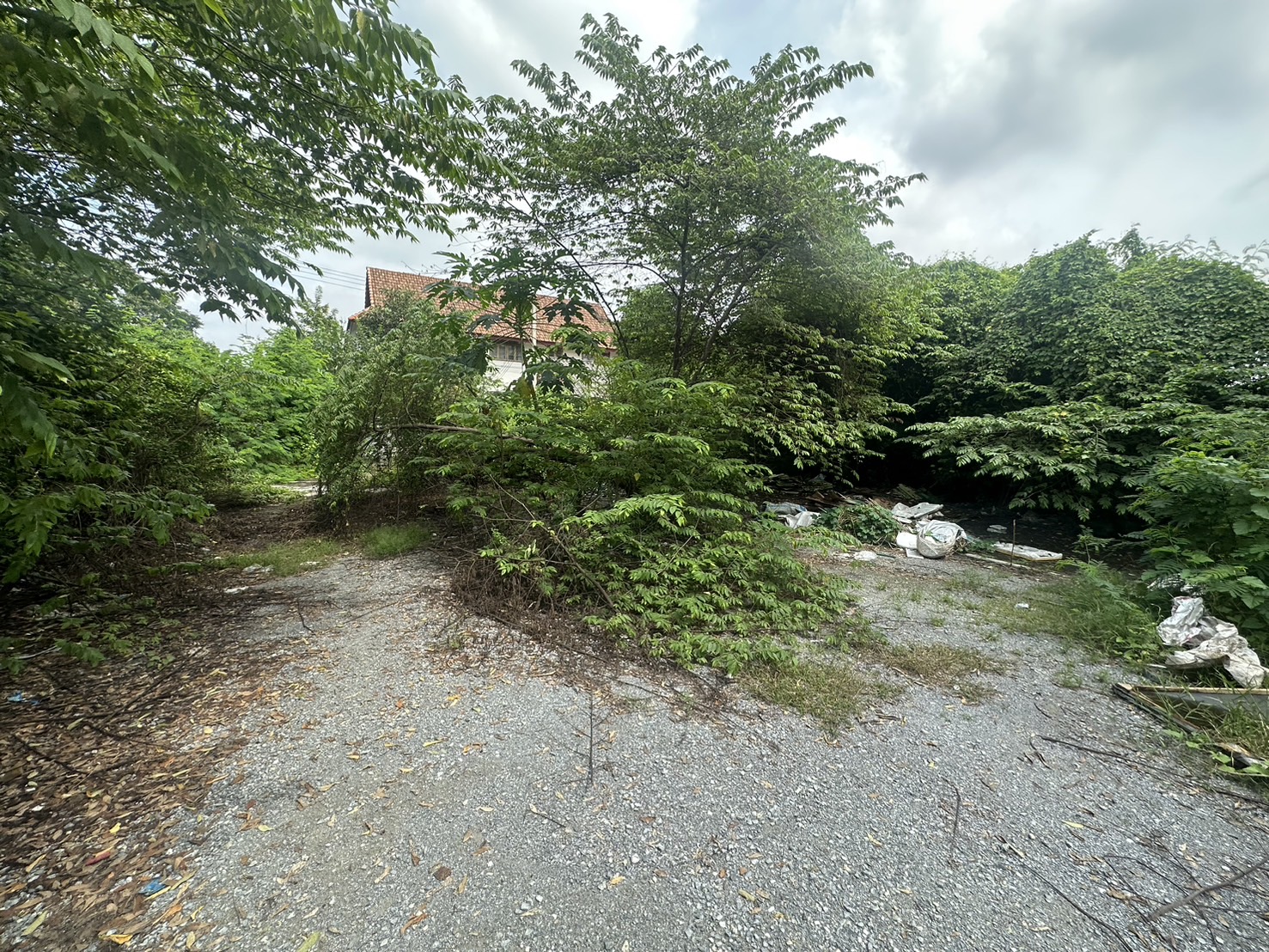 ที่ดินให้เช่า ติดถนนบางกรวย-ไทรน้อย จ.นนทบุรี ใกล้ราชพฤกษ์วงเวียนพระราม 5 เนื้อที่ 689 ตรว.