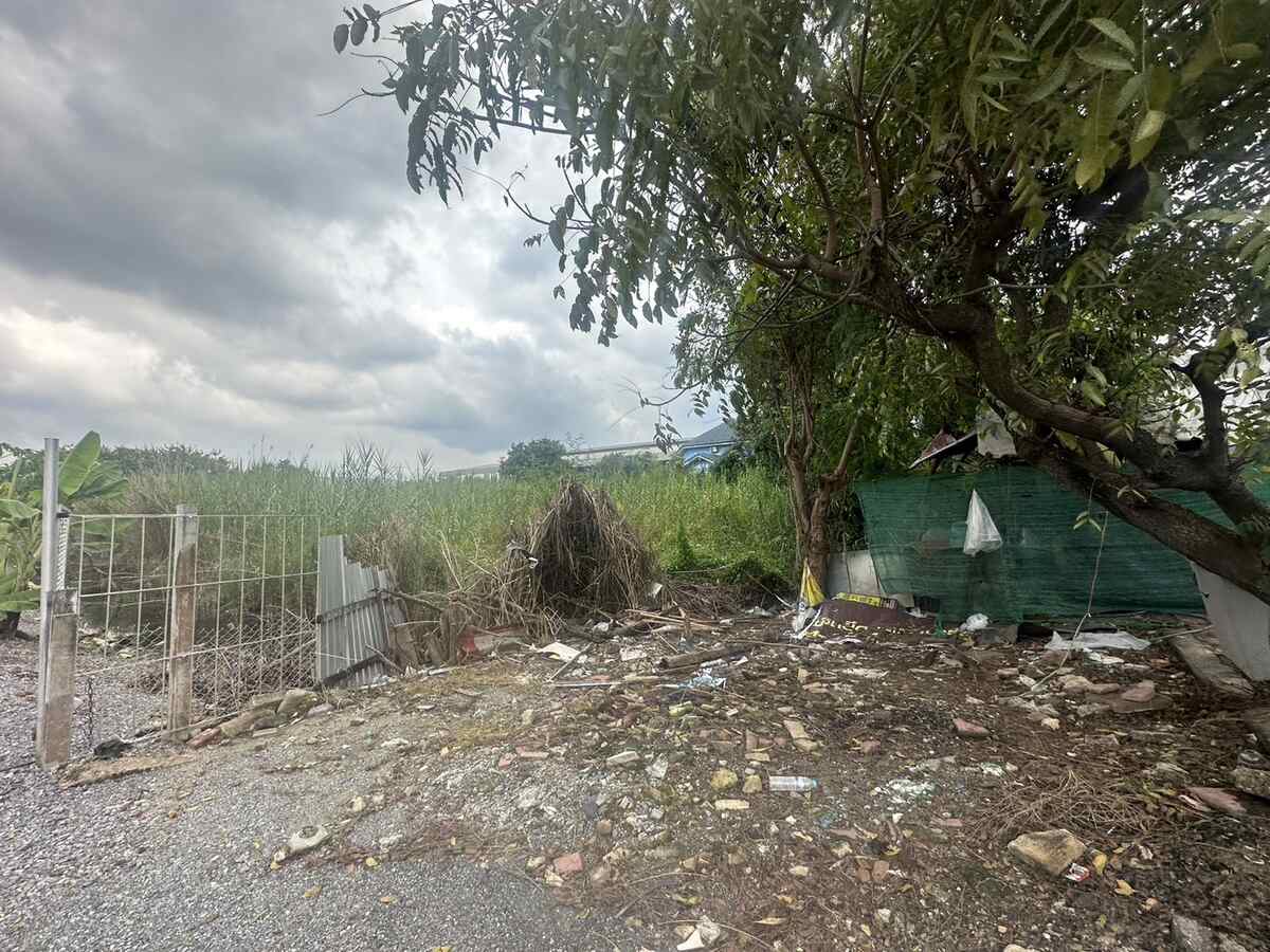 ขายหรือให้เช่าที่ดินซอยวัดลาดปลาดุก 4-0-25 ไร่ จ.นนทบุรี