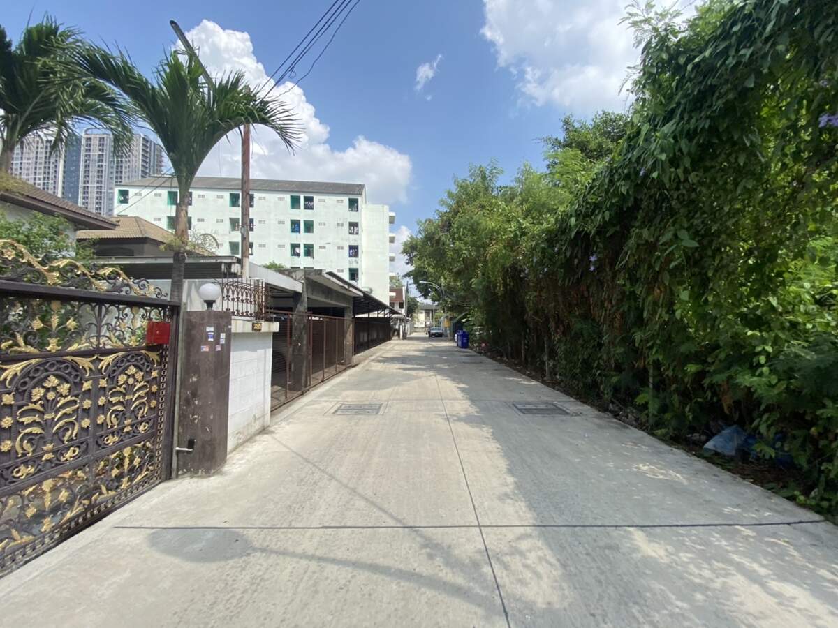 ขายที่ดินซอยสุขุมวิท 115